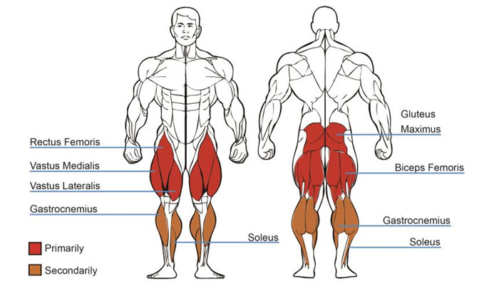 坐式蹬腿抖奶黄色短视频APP