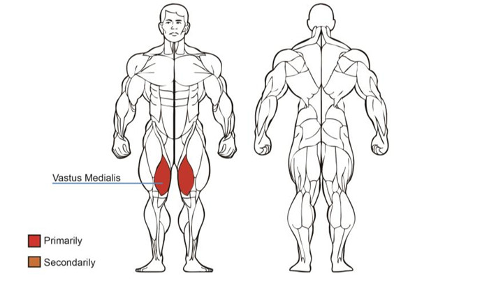 大腿内展抖奶黄色短视频APP